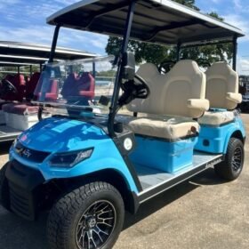 2025 Advanced EV HORIZON 4F For Sale 