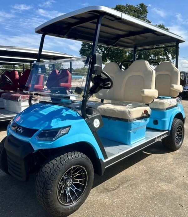 2025 Advanced EV HORIZON 4F For Sale 