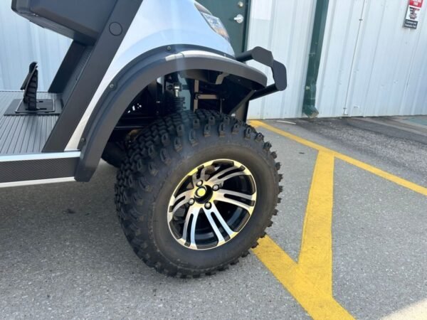 2024 Advanced EV AEV 4 Series For Sale  - Image 2