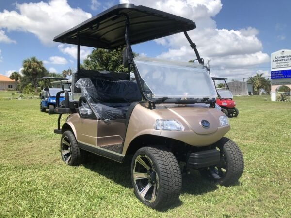 2022 EVOLUTION ELECTRIC VEHICLES CLASSIC 4 PRO FOR SALE - Image 2