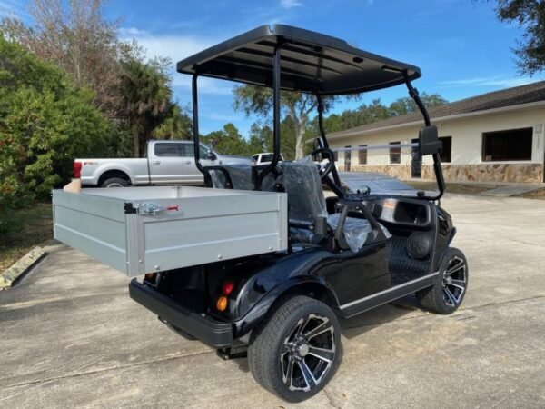 2022 EVOLUTION ELECTRIC VEHICLES TURFMAN 200 FOR SALE - Image 3