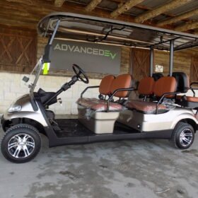 2021 ADVANCED EV AEV 4+ FOR SALE