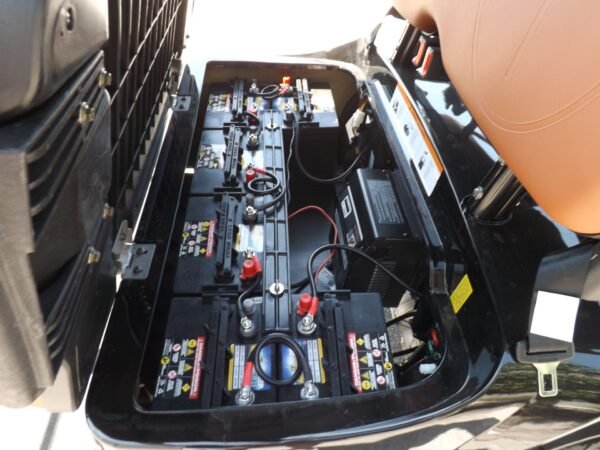 2022 ADVANCED EV AEV 2+2L ELECTRIC LIFTED FOR SALE - Image 4
