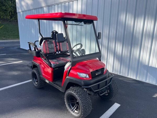 NEW 2024 BINTELLI GOLF CARTS ALL BEYOND 4PR LIFTED FOR SALE - Image 3