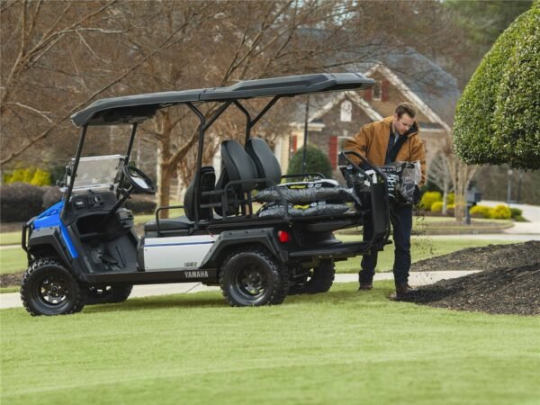 NEW 2024 YAMAHA GOLF CARTS ALL UMAX RALLY 2 2 EFI FOR SALE