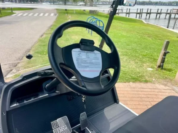 NEW 2024 ICON GOLF CART ECO I40L FOR SALE - Image 4
