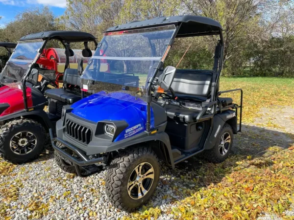 NEW 2024 BIGHORN GOLF CARTS ALL 200 GVXL-T DF EFI FOR SALE
