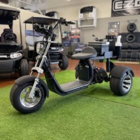 2021 FAT TIRE XR TRIKE
