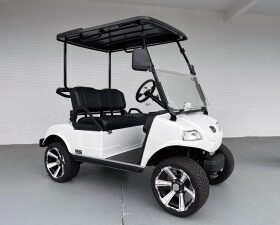 WHITE EVOLUTION CLASSIC PRO GOLF CART FOR SALE