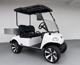 WHITE EVOLUTION TURFMAN PRO GOLF CART FOR SALE