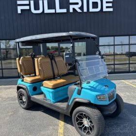 2024 Evolution 4 Seater For Sale 
