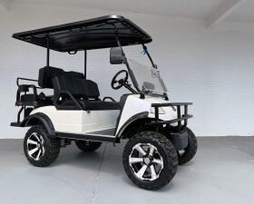 WHITE FORESTER EVOLUTION GOLF CART FOR SALE
