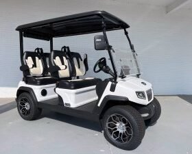 WHITE EVOLUTION D5 RANGER LITHIUM GOLF CART FORWARD FACING FOR SALE