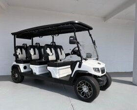 WHITE EVOLUTION D5 RANGER 6 SEATER GOLF CART FOR SALE