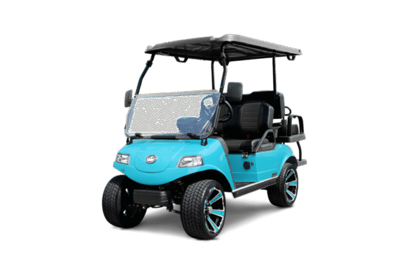 2025 Evolution Classic For Sale 